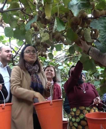 Yalova Kivisi Hasat Şenliği renkli görüntülere sahne oldu