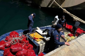 Yalova’da 20 ton kaçak midye ele geçirildi