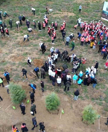 Yalova’da 3 bin 200 fidan toprakla buluştu