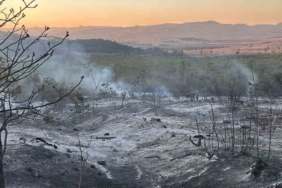 Yenişehir’de çıkan yangın kontrol altına alındı