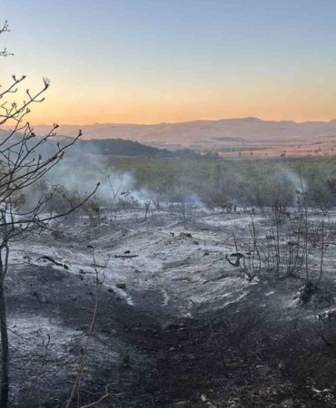 Yenişehir’de çıkan yangın kontrol altına alındı