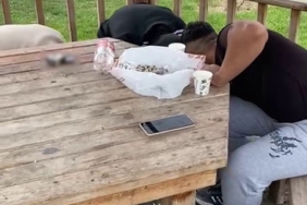 Zabıta ekipleri çekirdek çitleyip çöpünü yere atan gençlere çekirdek kabuklarını temizletti