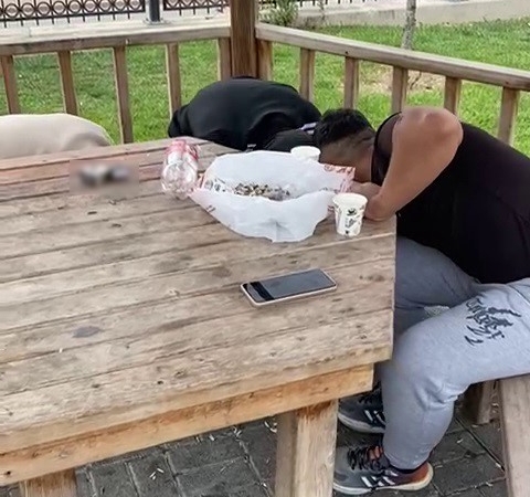 Zabıta ekipleri çekirdek çitleyip çöpünü yere atan gençlere çekirdek kabuklarını temizletti