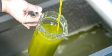 Zeytinyağı alırken dikkat, sahtesi nasıl anlaşılır