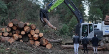 100 dönüm ormanlık alan yenilenme gerekçesiyle kesildi
