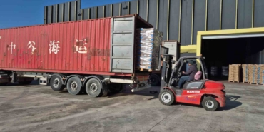 ABD ve Avrupa ambargosu Türkiye’ye yaradı: Türk ayçiçeği tohumları Rusya’da rekor kırıyor