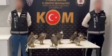 Arap şeyhlerinin tanesine 100 bin dolar verdiği 10 gökdoğan kuşu havalimanında yakalandı