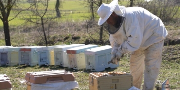 BAÇEM’de uygulamalı arıcılık kursu başlıyor