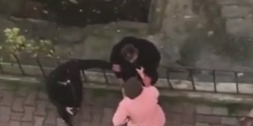 Bahçelievler’de eşini 21 bıçak darbesiyle öldüren sanığa ağırlaştırılmış müebbet hapis