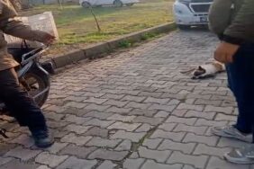 Balıkesir’de köpeği motosiklete bağlayıp sürükleyen kişiye para cezası ve adli soruşturma