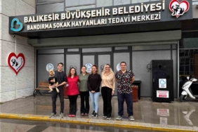 Bandırma Sokak Hayvanları Tedavi Merkezi 13 bin 459 hayvana şifa dağıttı