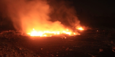 Bayramiç’te meyve çiftliğinde yangın