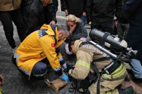 Beyoğlu’nda korkutan yangın: Kalbi duran kediyi itfaiye hayata döndürdü