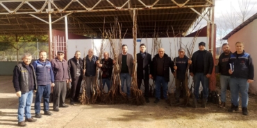 Bilecikli çiftçilere 310 adet meyve fidan dağıtıldı