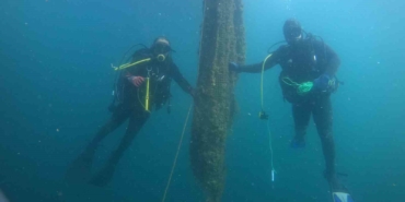 Çanakkale’de 2024’te 16 bin metrekare hayalet ağ çıkarıldı