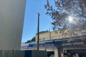 Çanakkale’de köpekten kaçan kedi 5 saat direkte bekledi