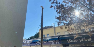 Çanakkale’de köpekten kaçan kedi 5 saat direkte bekledi