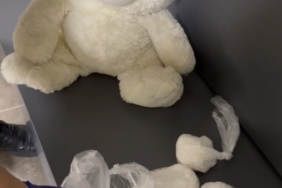 Çanakkale’de oyuncak ayı içinden uyuşturucu çıktı