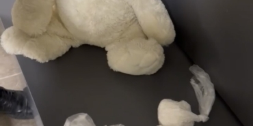 Çanakkale’de oyuncak ayı içinden uyuşturucu çıktı