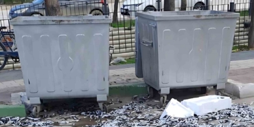 Çevre düşmanı bozuk balıkları yola döktü