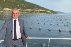 Çiftlik midyesi üretimi 4 yılda ikiye katladı hedef 50 bin ton