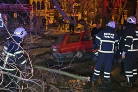 Çürüyen ağaç otomobilin üzerine devrildi