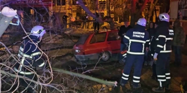 Çürüyen ağaç otomobilin üzerine devrildi