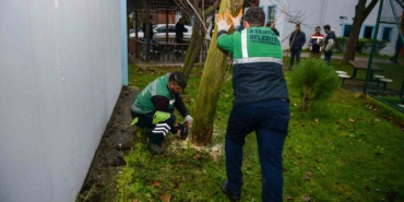 Esenyurt’ta teke böceğine karşı etkin mücadele