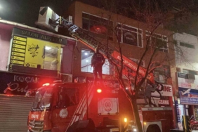 Evden kaçıp çatıda mahsur kalan kediyi itfaiye kurtardı