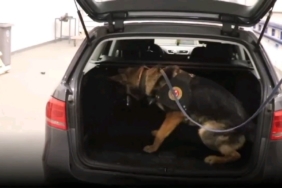 İpsala Sınır Kapısı’nda 118 kilo esrar ve kokain ele geçirildi