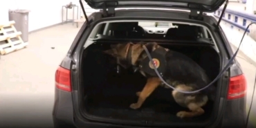 İpsala Sınır Kapısı’nda 118 kilo esrar ve kokain ele geçirildi