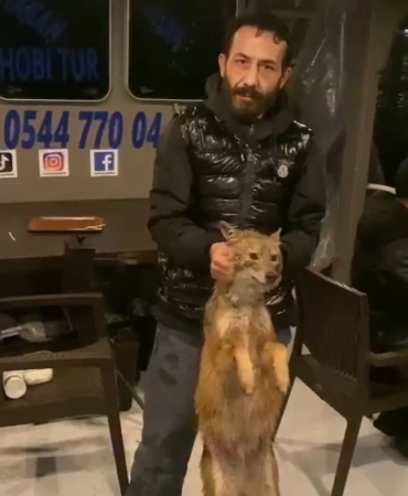 İstanbul Boğazı’nda bu da oldu: Balık tutarken tilki yakaladılar