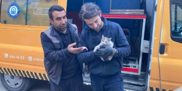 Kaputa sıkışan yavru kedi kurtarıldı