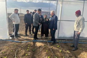 Kardın çiftçi, 65 yaşında devlet desteğiyle sera kurdu