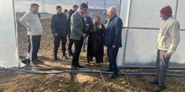 Kardın çiftçi, 65 yaşında devlet desteğiyle sera kurdu