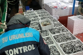 Kırklareli’nde balıkçılara kota denetlemesi