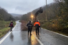 Kırklareli’nde rüzgardan kopan elektrik telleri yangına neden oldu