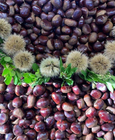 Kış harikası kestane her derde deva