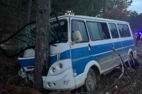 Kontrolden çıkan minibüs ağaca çarptı: 5 yaralı