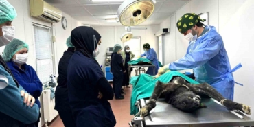 Osmangazi’de can dostlar emin ellerde