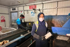 Pendik’te şaşırtan olay: Atık Ayrıştırma Bandında akıllı telefon bulundu