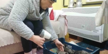 Sancaktepe’de çöp konteynerine atılmış poşet içinde 11 yavru köpek bulundu