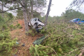 Şarampole uçan araç içinde bulunan 2 kişi yaralandı