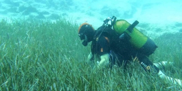 Saros ve Göcek’te deniz çayırları ve mercan habitatlarının korunması çalışmaları devam ediyor