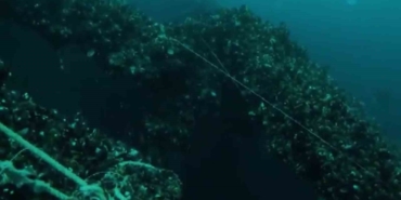 Serbest dalışçı, 1991 yılında İstanbul Boğazı’nda batan gemiyi görüntüledi