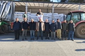 Silivri’de üreticilere 94 ton kuzu yemi dağıtıldı