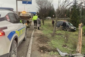 Takla atan otomobil ağaçları devrildi