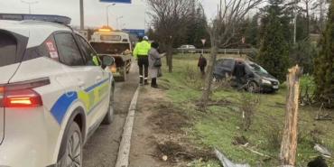 Takla atan otomobil ağaçları devrildi
