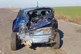 Tarlaya uçan otomobilin sürücüsü hayatını kaybetti