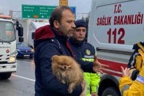 TEM’de cip istinat duvarına çarptı: Köpeğini bir an olsun bırakmadı